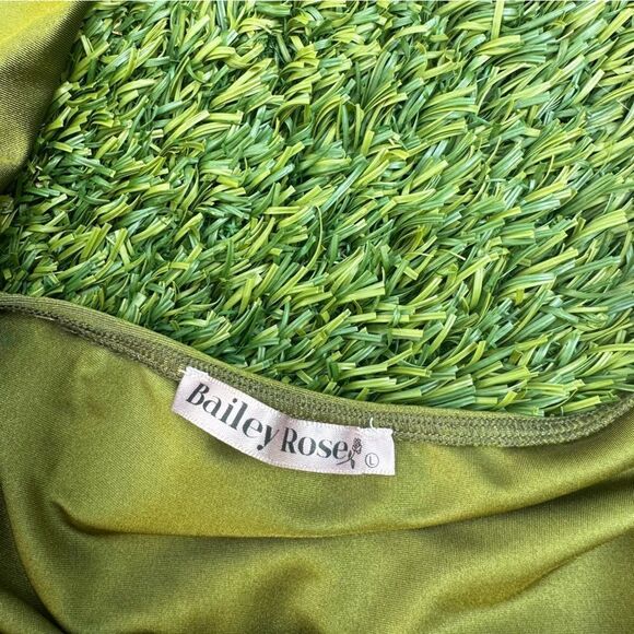 Bailey Rose Green Halter Backless Dress - Picture 6 of 7